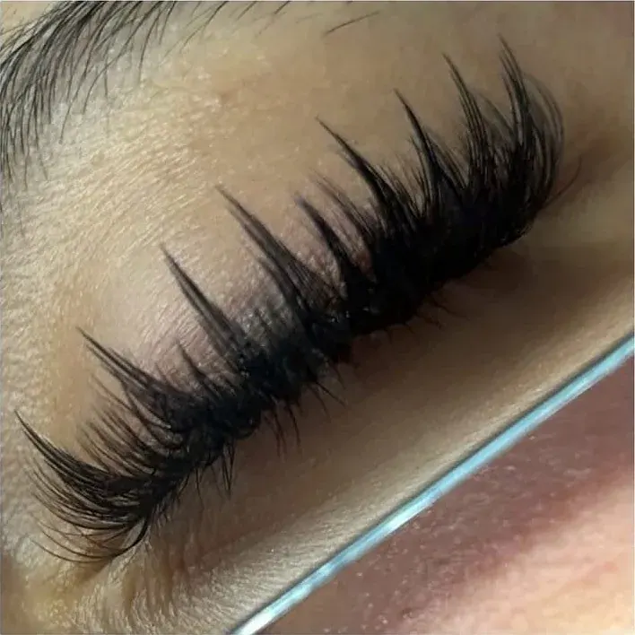 Closed eye showing a full classic lash set