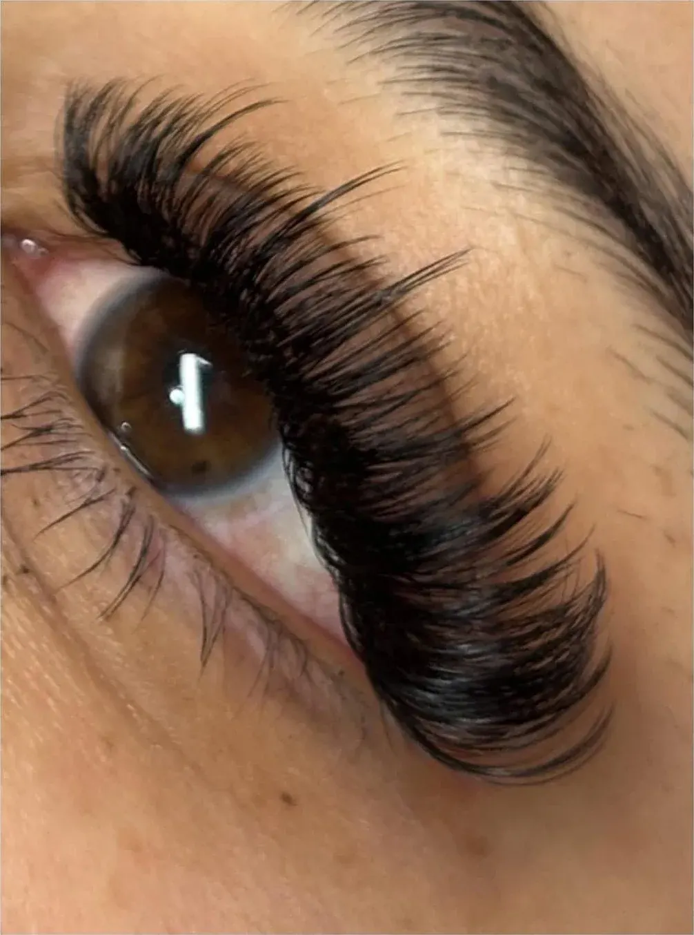 Volume lash extension set framing a brown eye